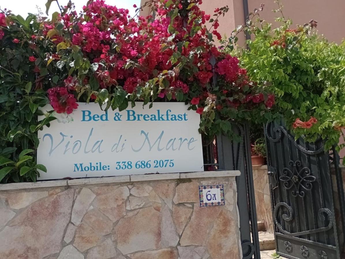 Viola Di Mare Rooms And Parking Termoli Dış mekan fotoğraf