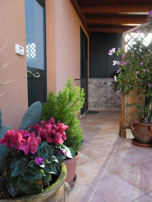Viola Di Mare Rooms And Parking Termoli Dış mekan fotoğraf